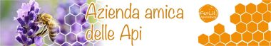Banner_AmiciAPI